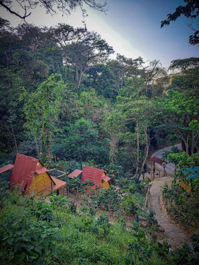 Hotel Eco Cabin - Tanoa Minca Esterno foto